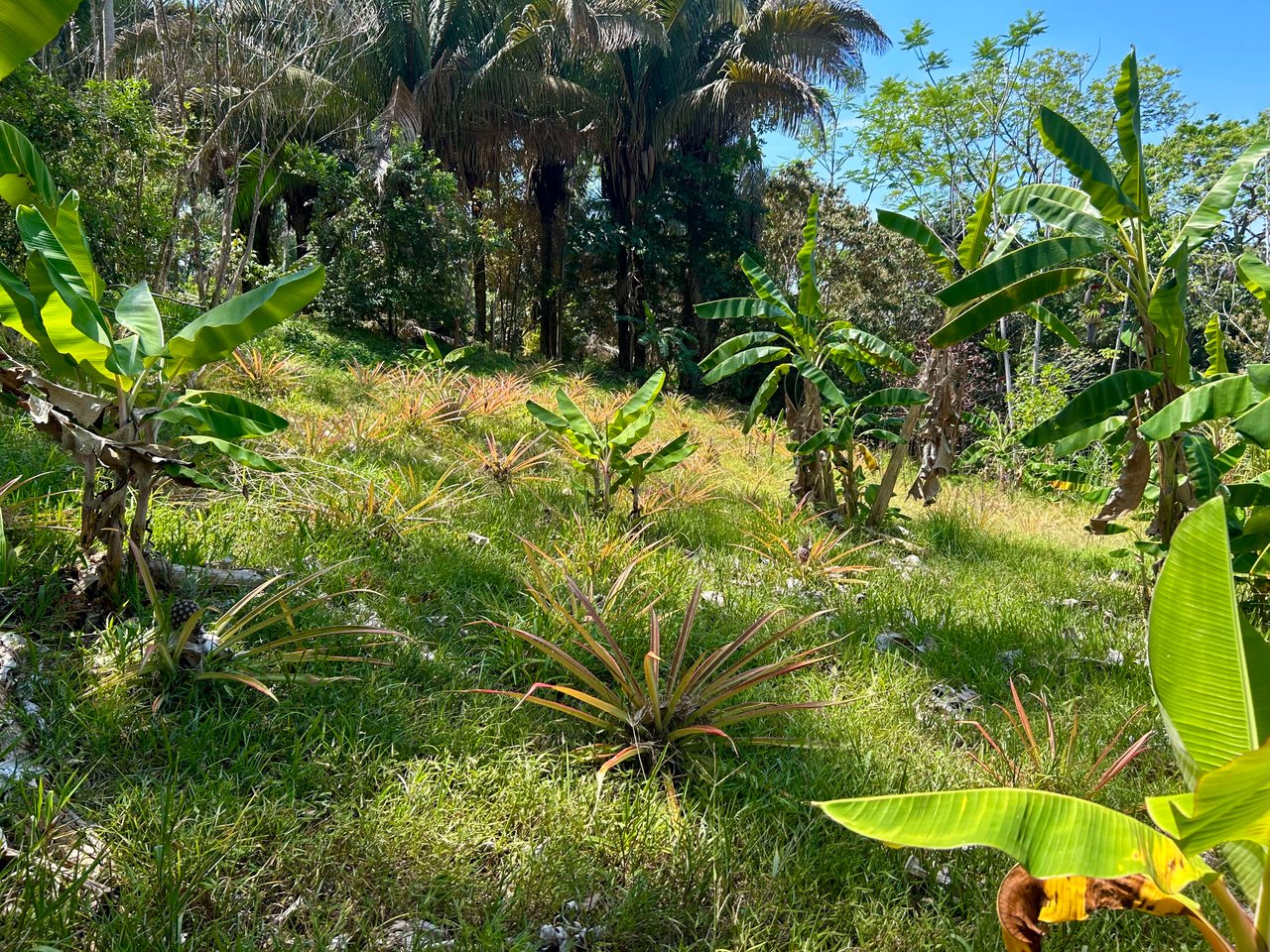 Great Location Land Parcel in Playa Hermosa