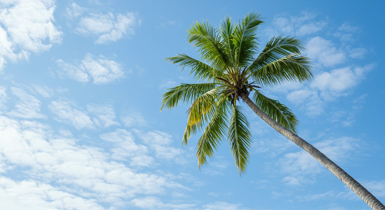Coconut Grove Flashback in Pictures