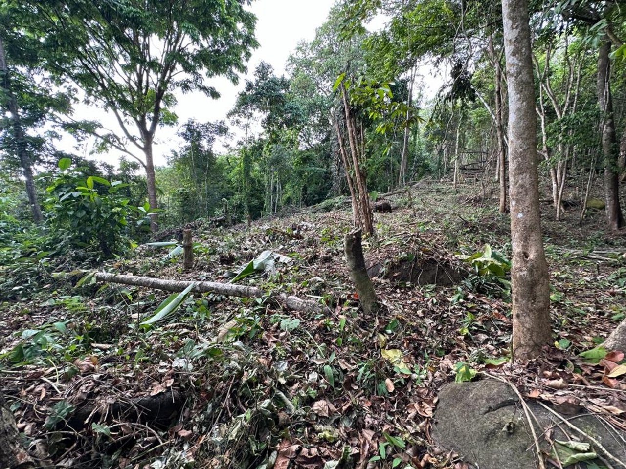 Prestigious Ocean View Development Land, Dominical, Puntarenas