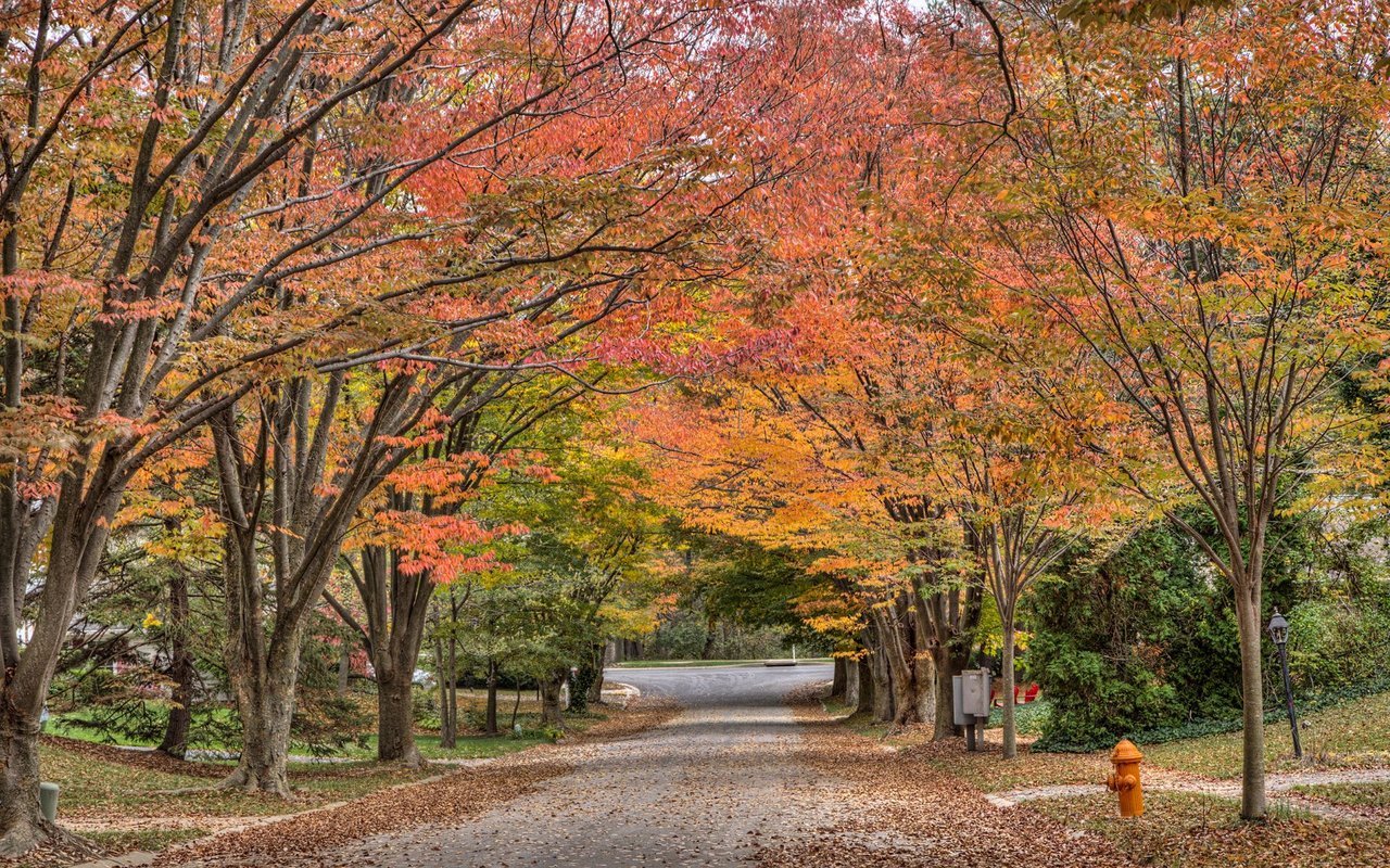 Howard County - Ellicott City & Columbia