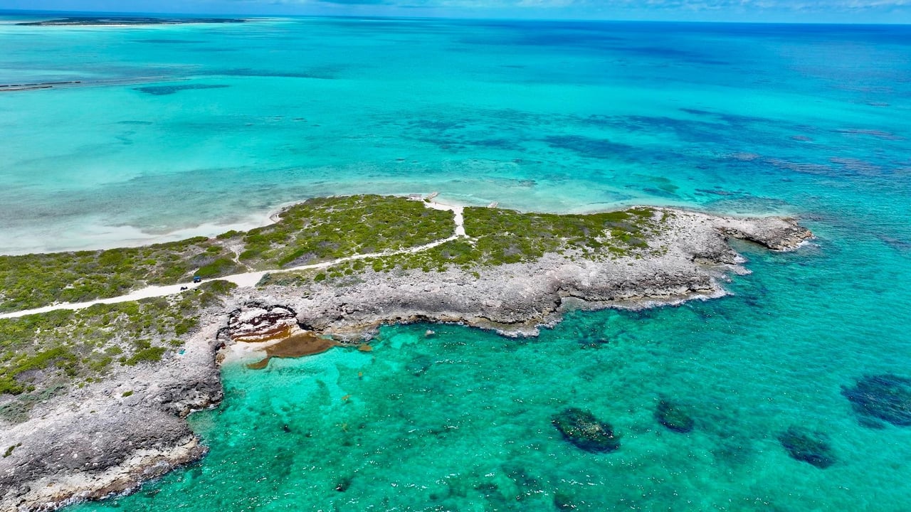 Tarpon Point-Ambergris Cay
