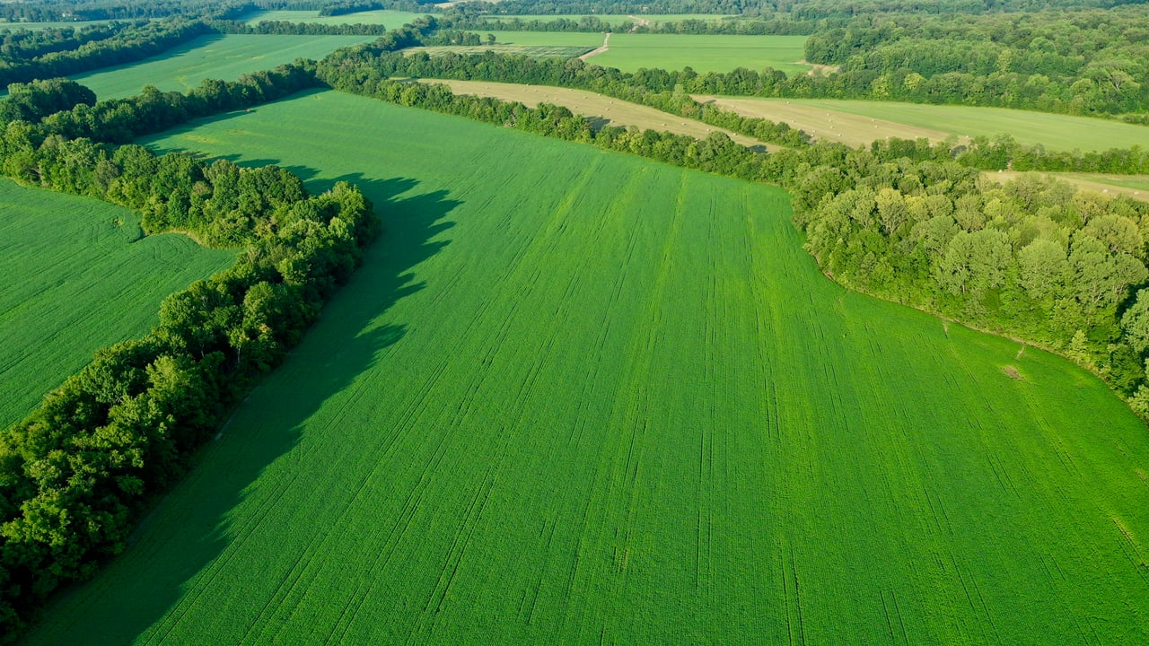 Dodds Farm