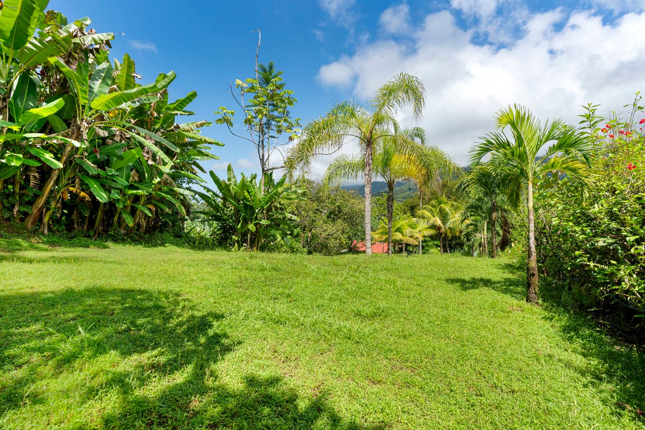 Cozy Sunset Ocean-View Bungalow On 3.5 Acres Of Jungle With Creeks, & Abundant Wildlife In Tres Rios Costa Rica