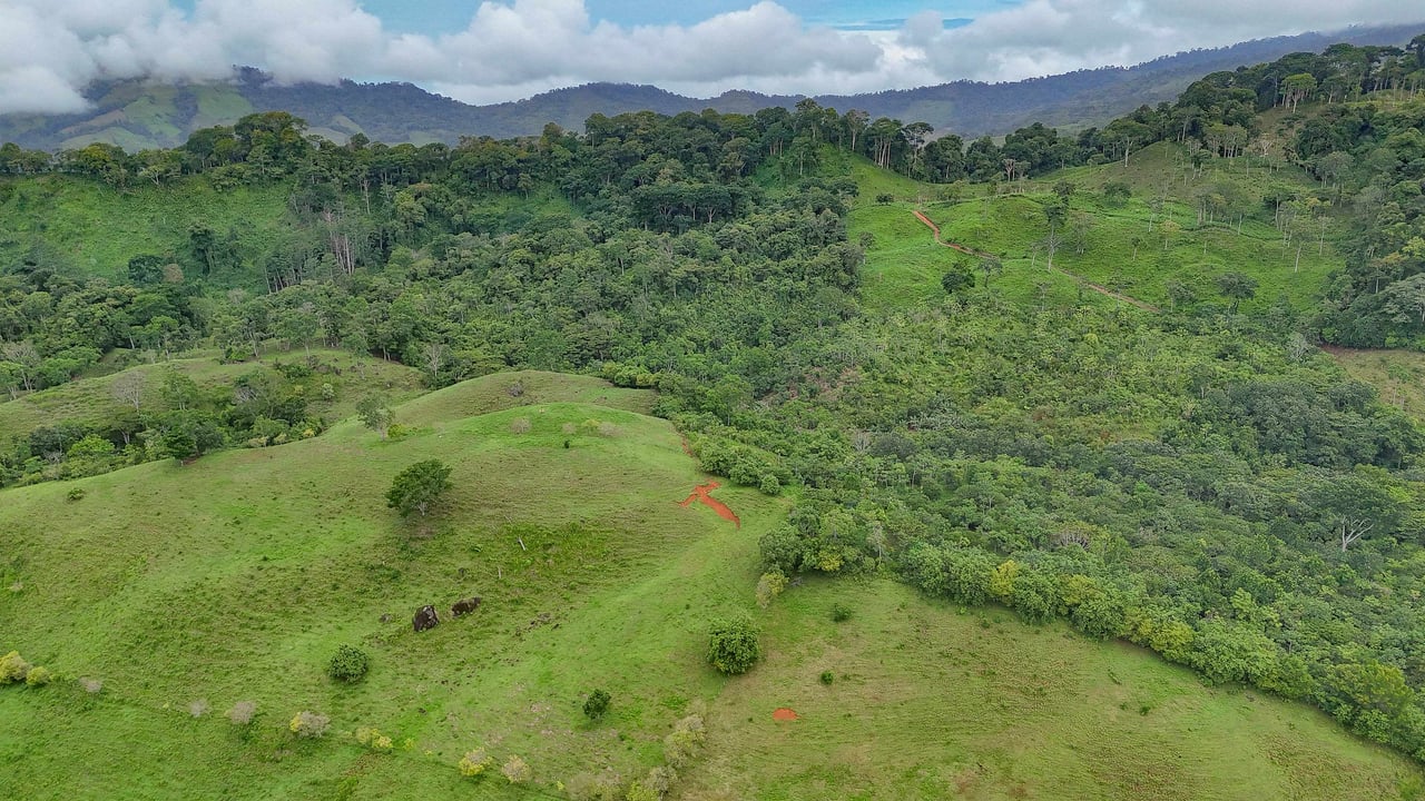 Breathtaking 210 Foot Waterfall on Over 200 Acres of Land in the Lush Hills & Mountains of Perez Zeledon – with SO MANY Additional Development Options!