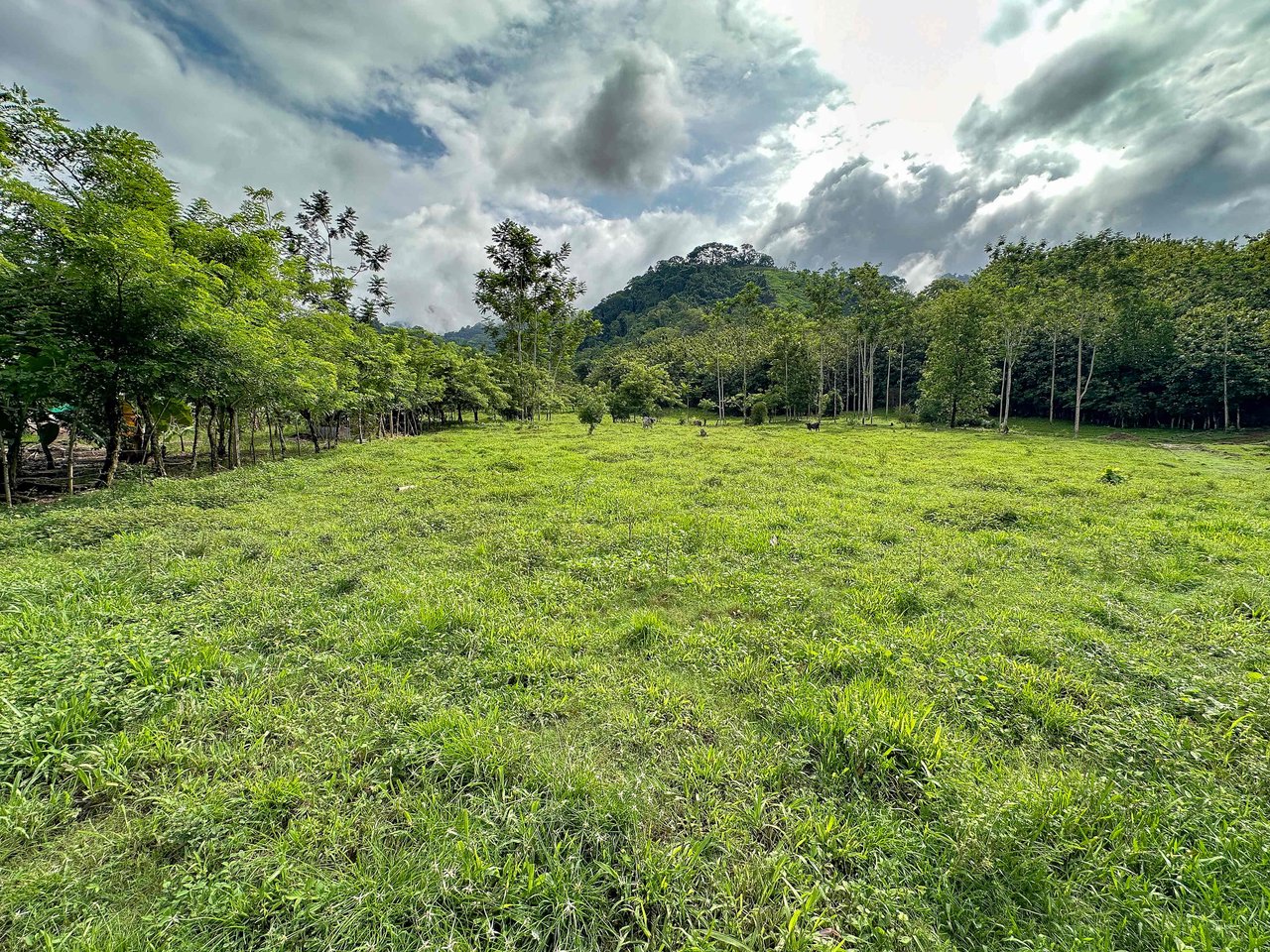 177 acre Ocean view property with multiple plantels, unspoiled mountain, jungle, river and waterfall areas