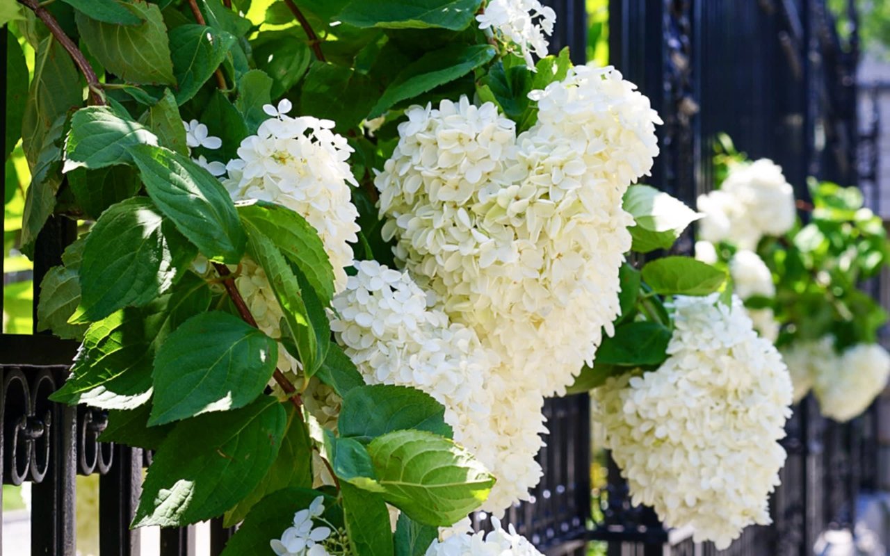 Zillow Says Millennials Are Choosing Suburbs Over Cities