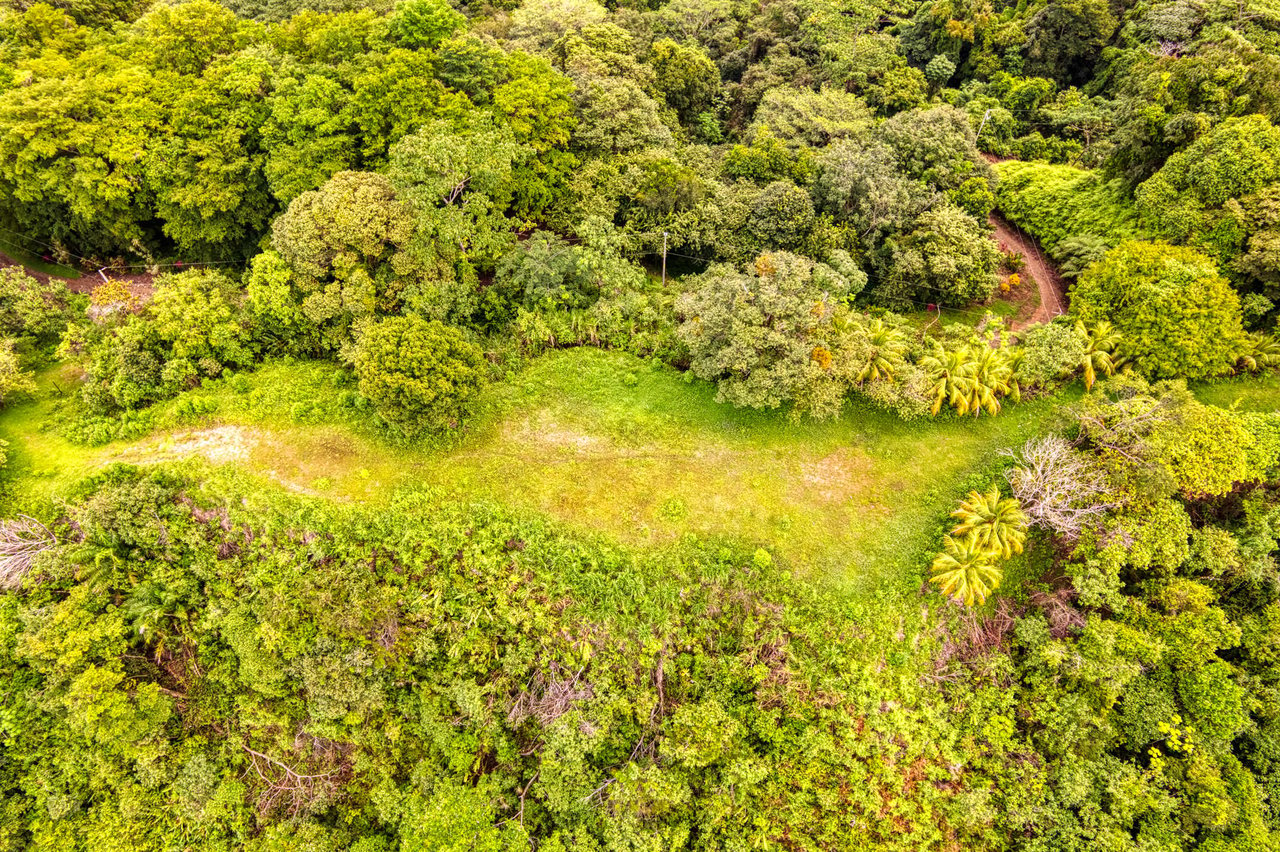 Coronado Estates Development Farm