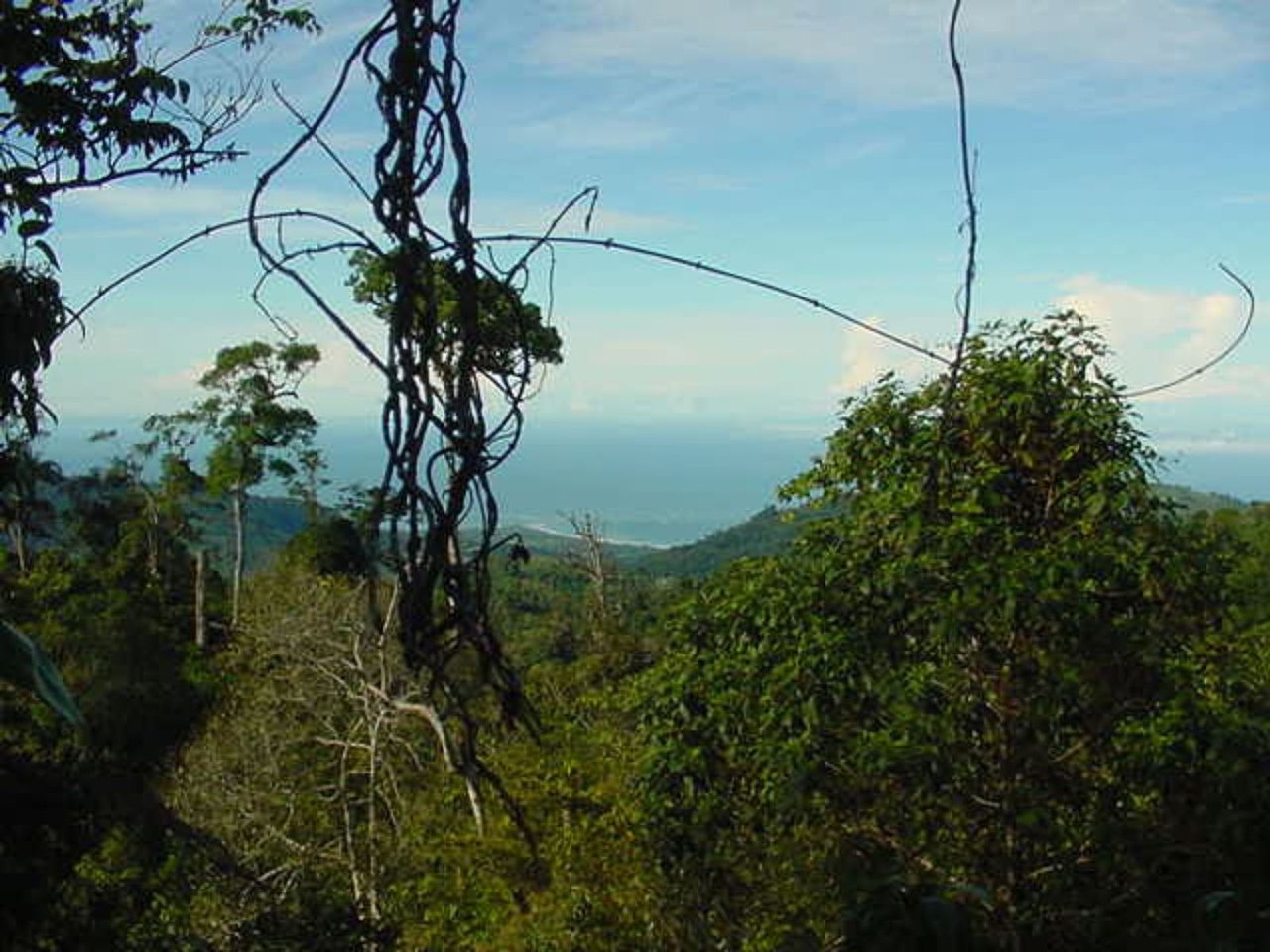 Ocean View Waterfall Land, Dominical, Puntarenas