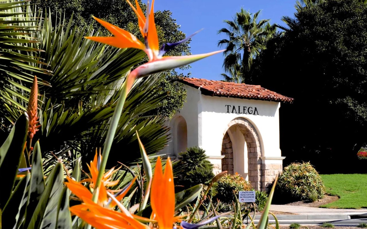 IS TALEGA A GOOD PLACE TO LIVE?