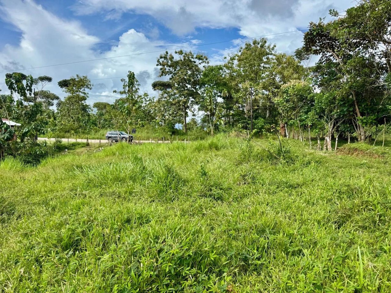 Ocean View Creek Side Land, Osa, Puntarenas