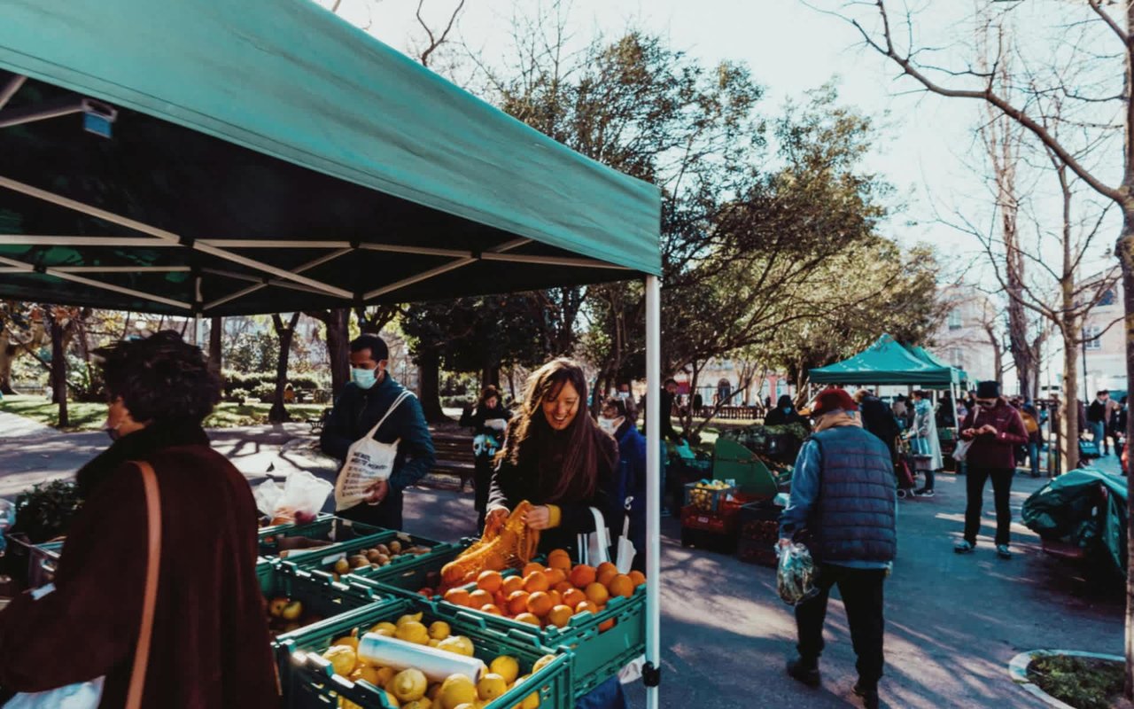 The Top Attractions in Windermere For Locals or Tourists