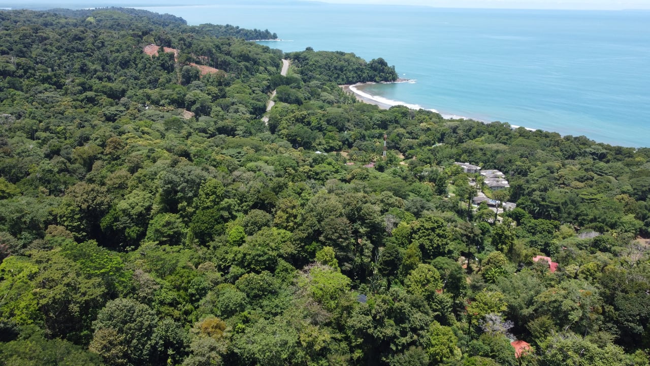 1.6 Acres Land Parcel in Ballena, Jungle Views.