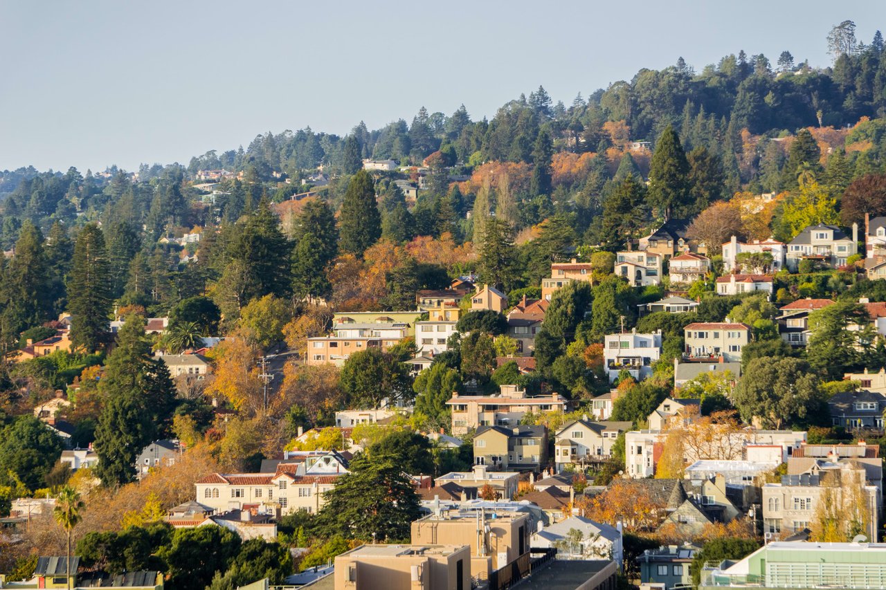 Berkeley Hills