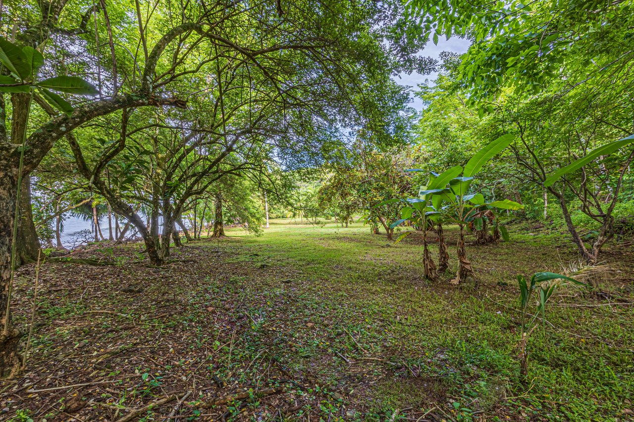 Seaside Serenity Property In Puerto Nuevo, Uvita