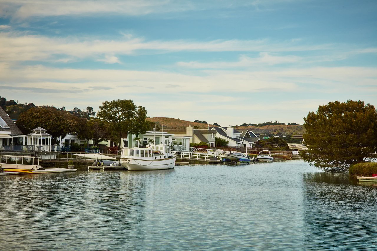 Marin Community and Real Estate Market Report - 9/9/20