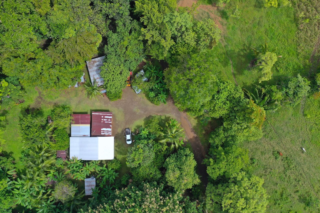 Costa Rican Teak and Hardwood Farm with Endless Potential