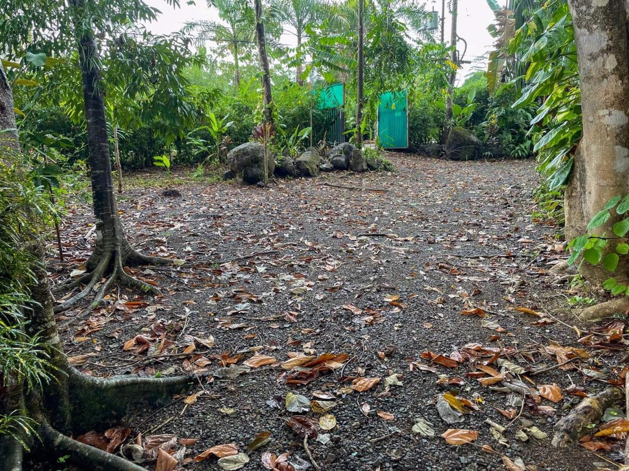 Tropical Orchard Estate, Ojochal, Puntarenas