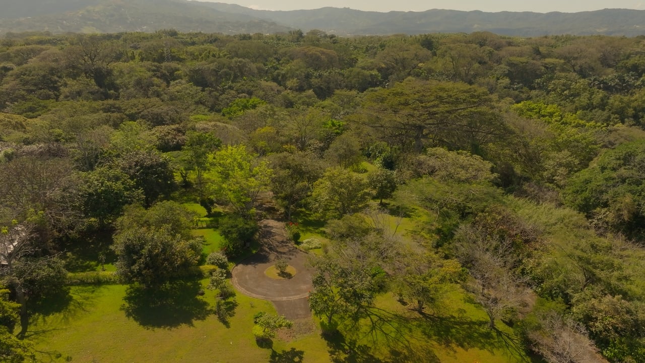 Prime Development Land for Sale La Guacima, Guacima, Alajuela