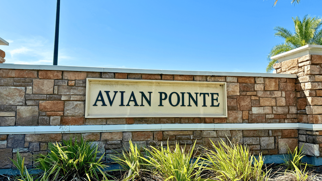 Avian Pointe