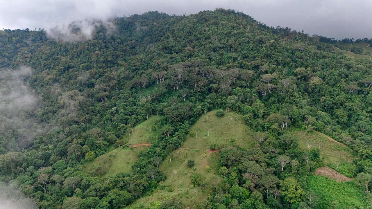 Over 123 Acres Farm in San Josecito De Morete, in Uvita Mountains