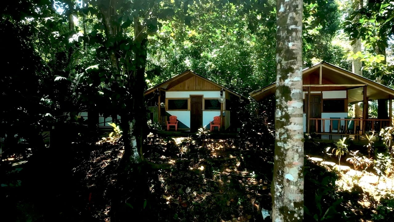 Beachfront Jungle Eco Resort, Osa, Puntarenas