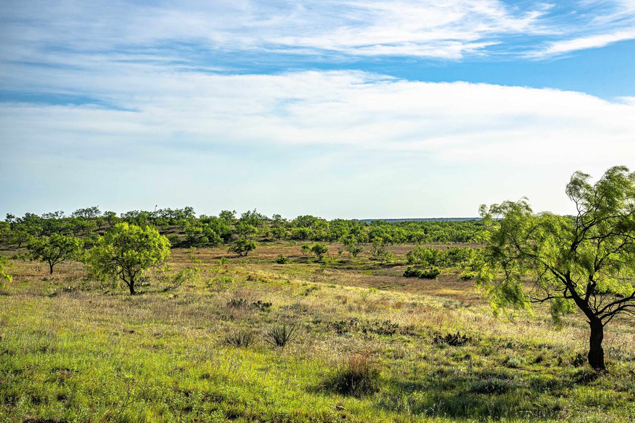 440 AC Coleman County