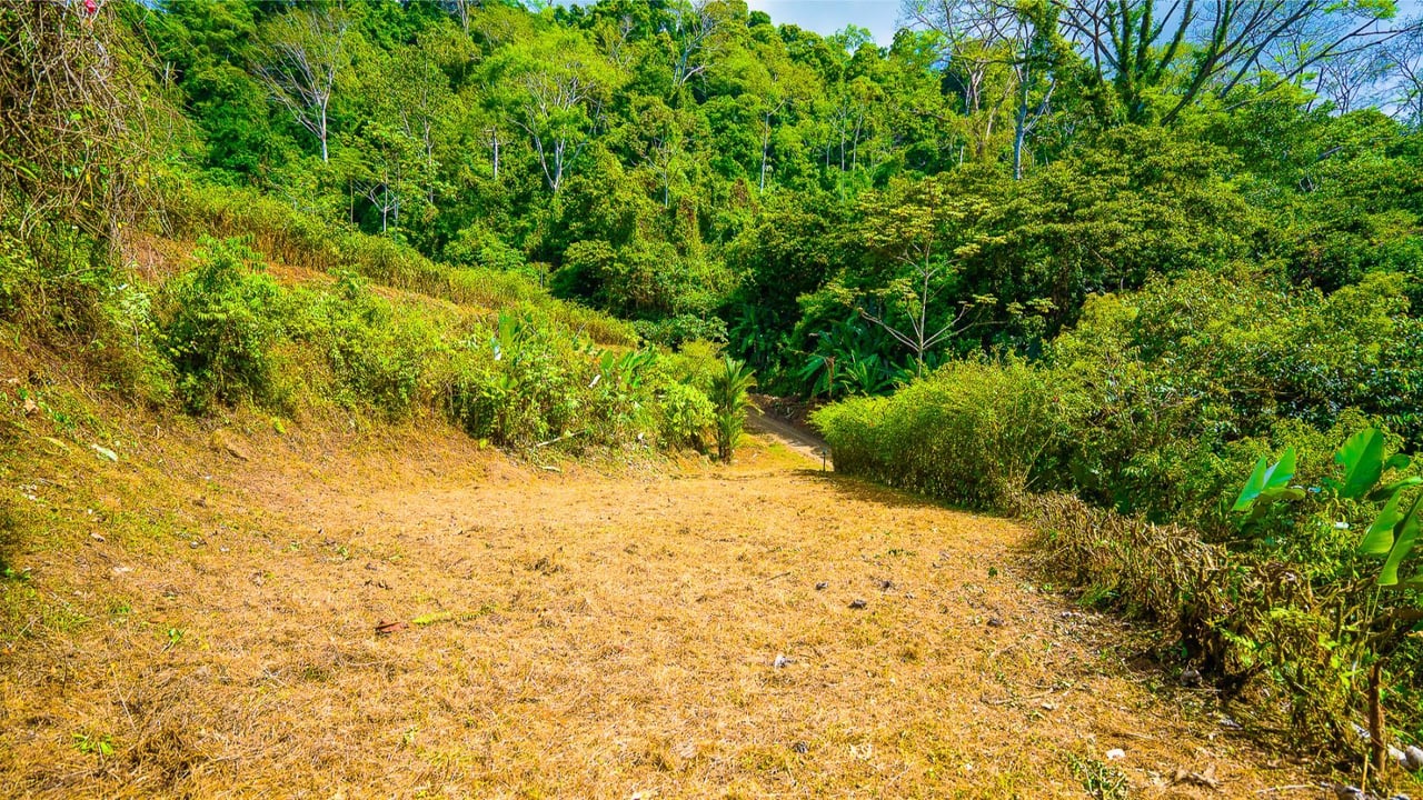 Forest View Build Ready Lot, Ojochal, Puntarenas