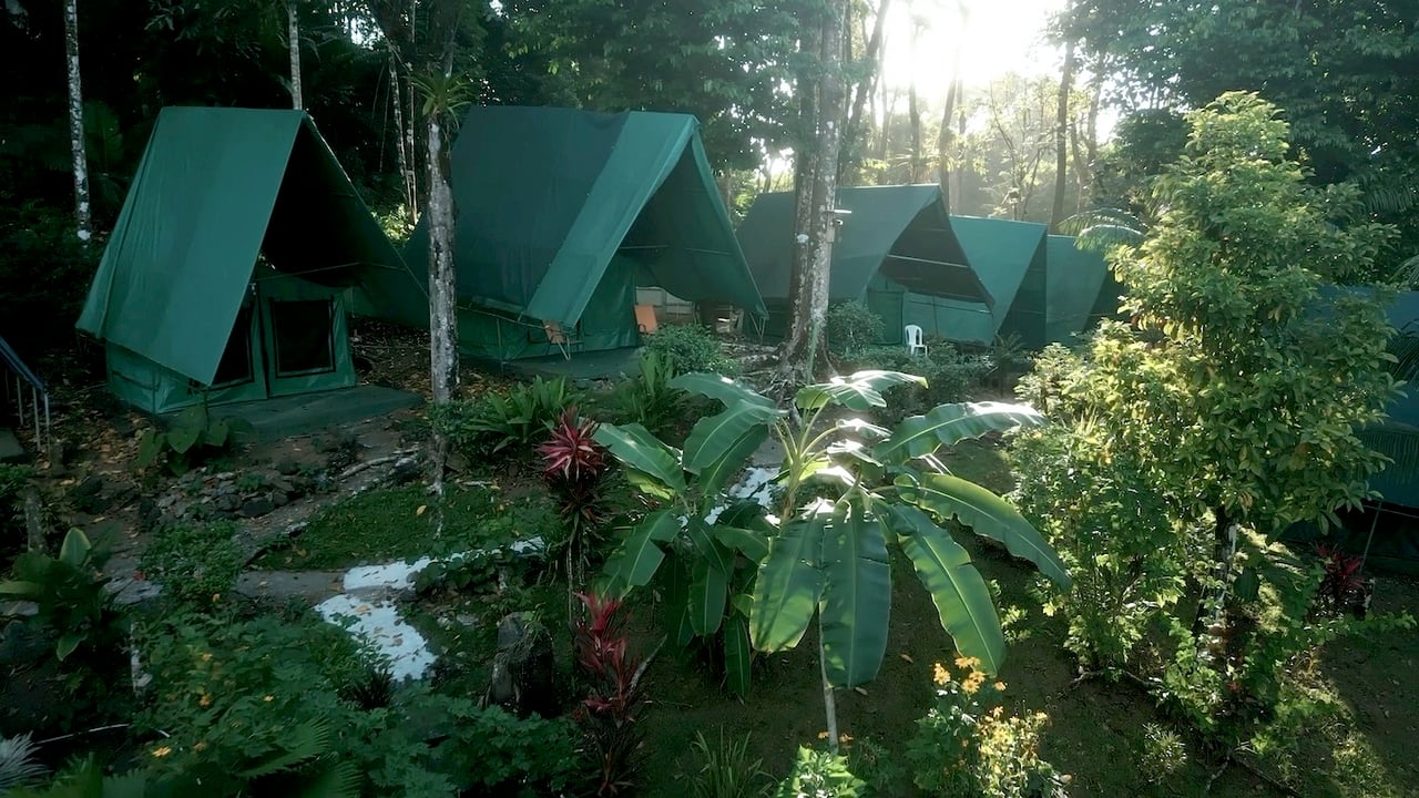Beachfront Jungle Eco Resort, Osa, Puntarenas