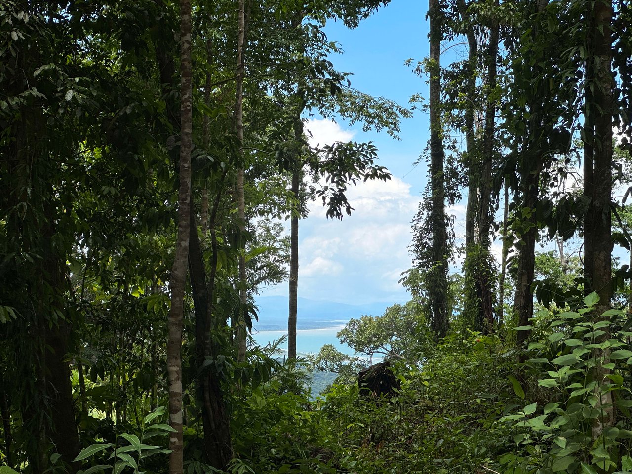 5.77 Acres With 4 Building Sites. Ocean Views, Rivers And Rainforest Abound In Cinco Ventanas! Ojochal 