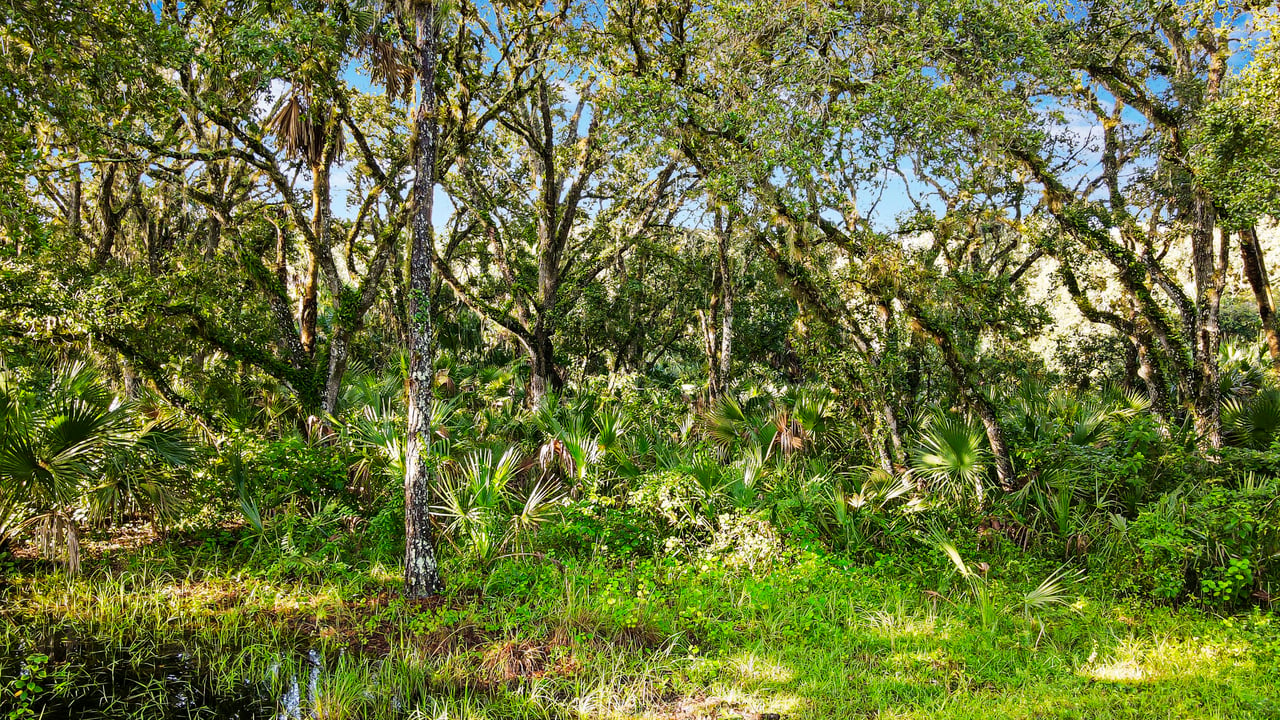 Bluefield Ranch