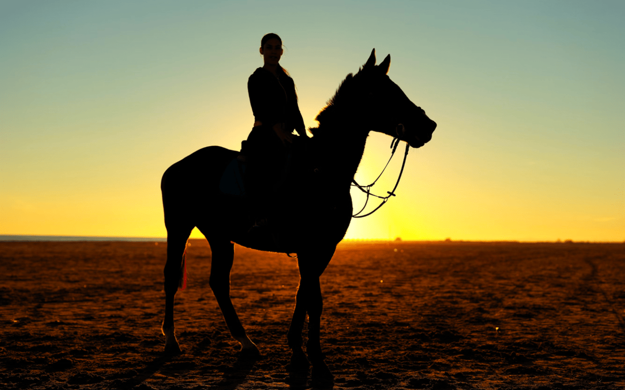 Advantages of Horse Properties in Chino Valley