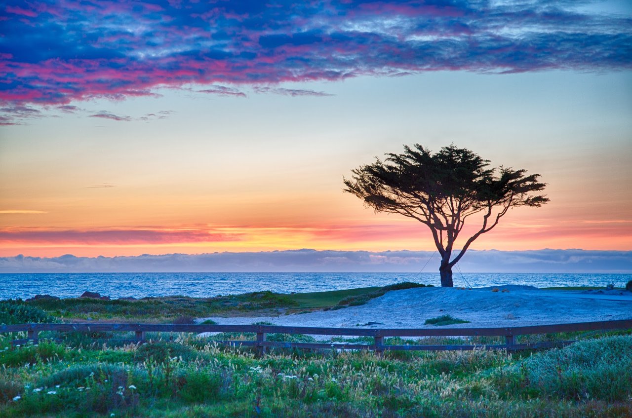 Top 5 Places to Walk on the Monterey Peninsula