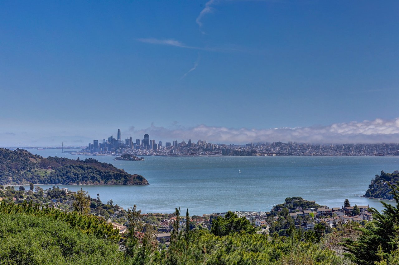 Extraordinary Tiburon Sanctuary