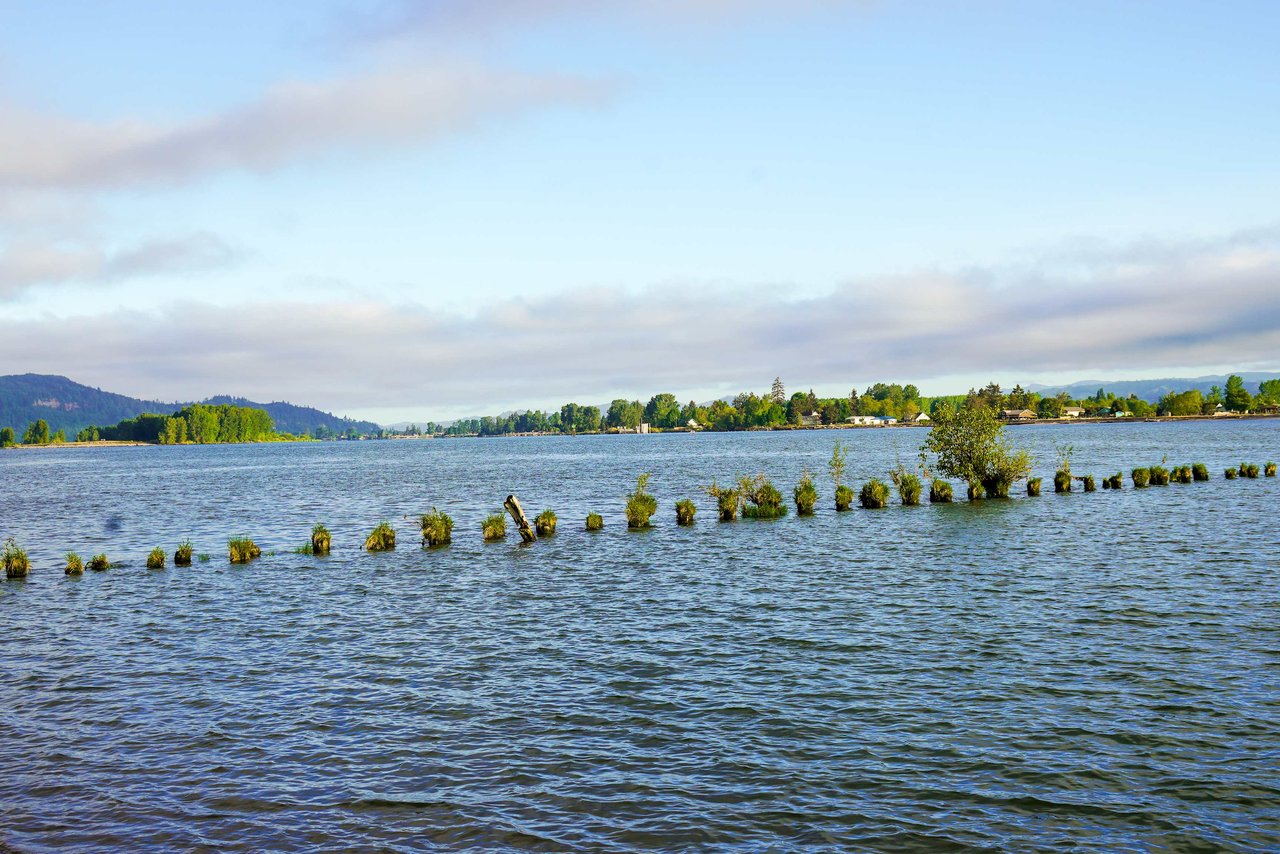 Coyote Point 