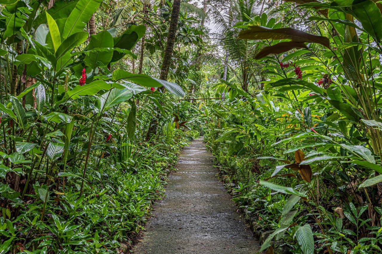 Private Beachfront Rainforest Estate, Osa, Puntarenas