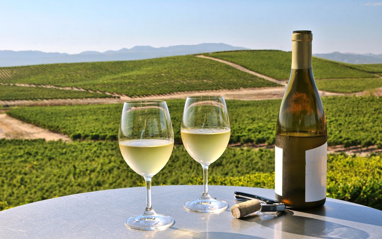 Eight Sonoma County Wines to Try Before You Die