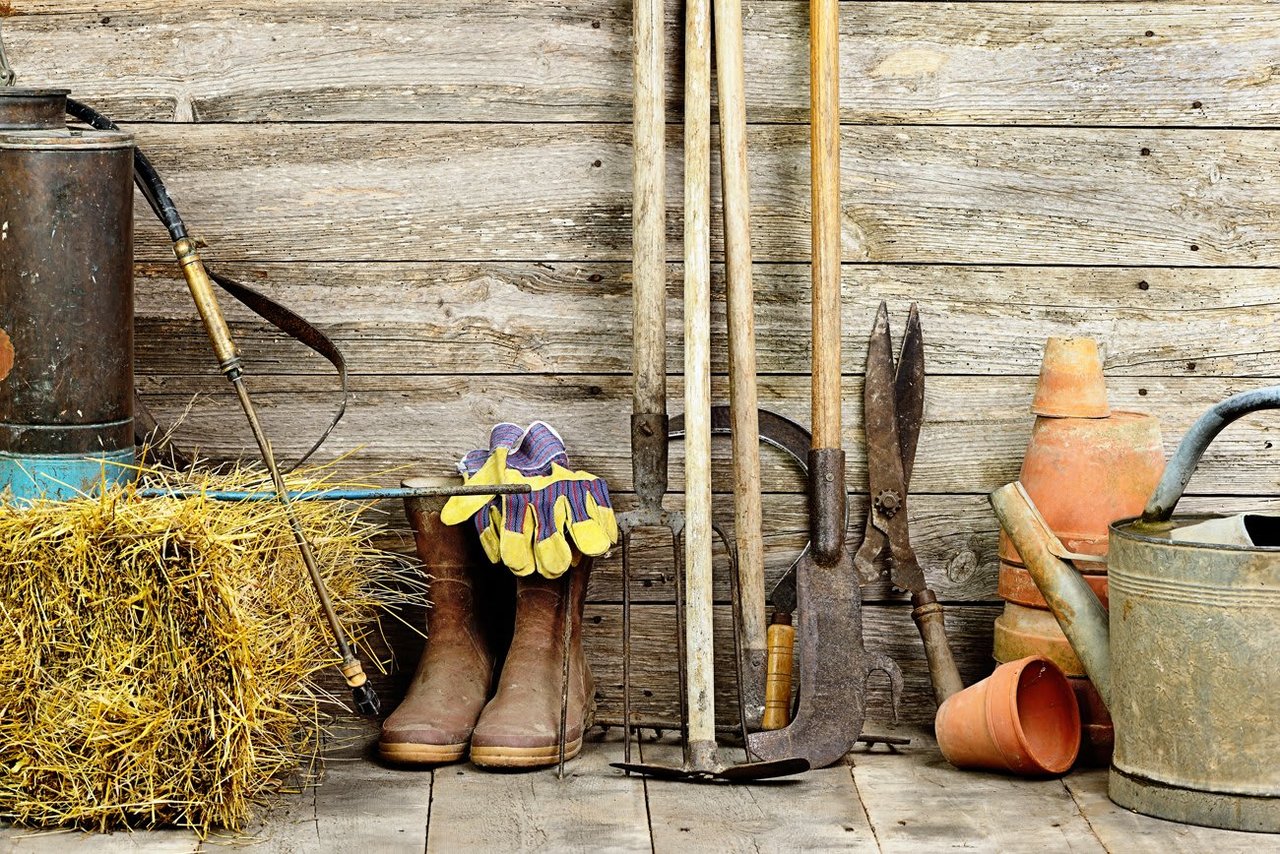 Yard & Garden Prep