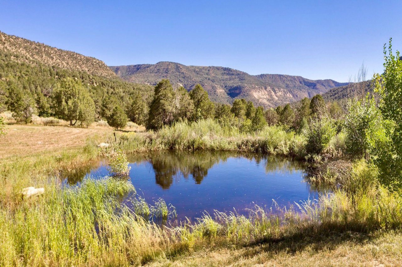 Weber Creek Ranch