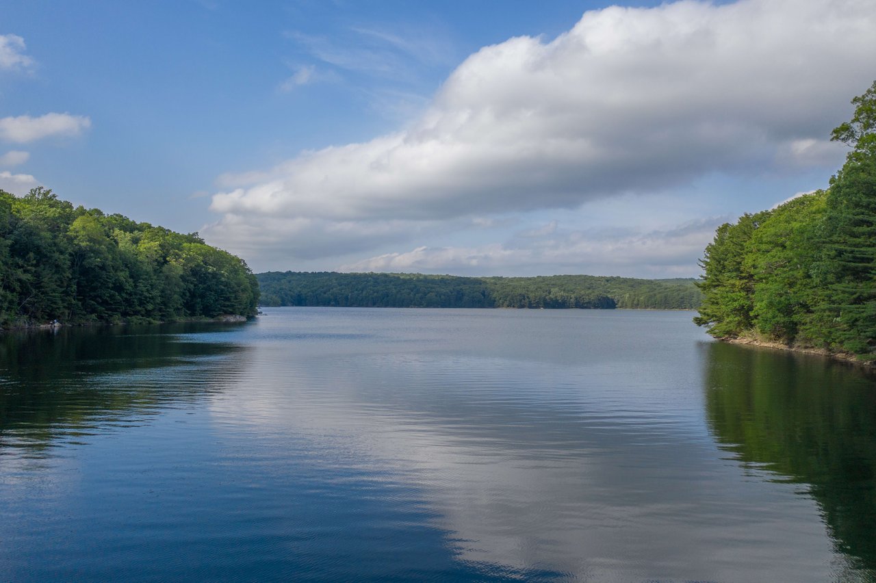 A calm lake surrounded by lush green trees.