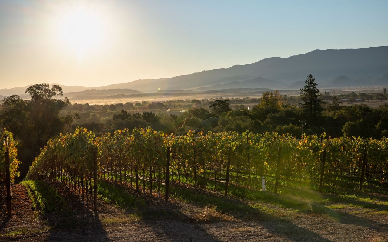 Travel & Leisure Names Santa Ynez Valley One of the 50 Best Places to Travel in 2022