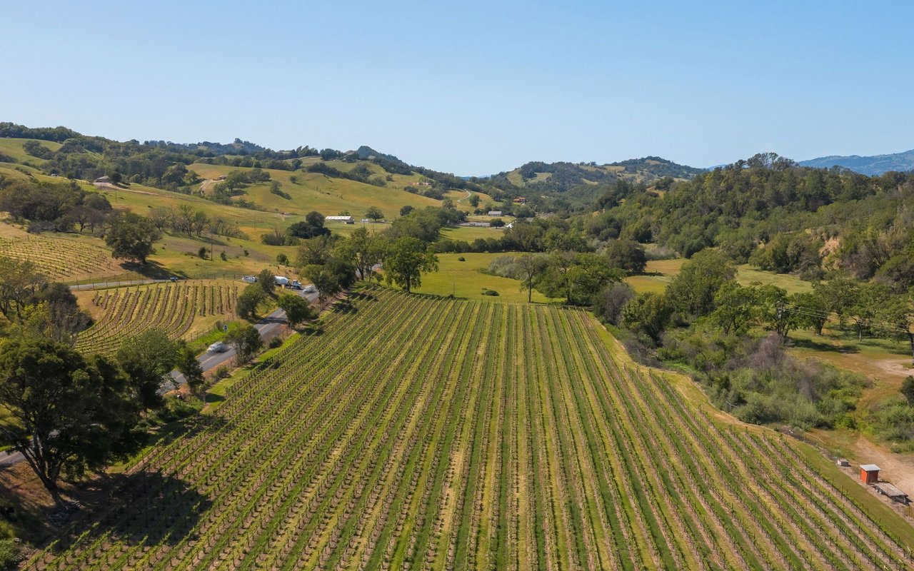 Healdsburg's Wine Country