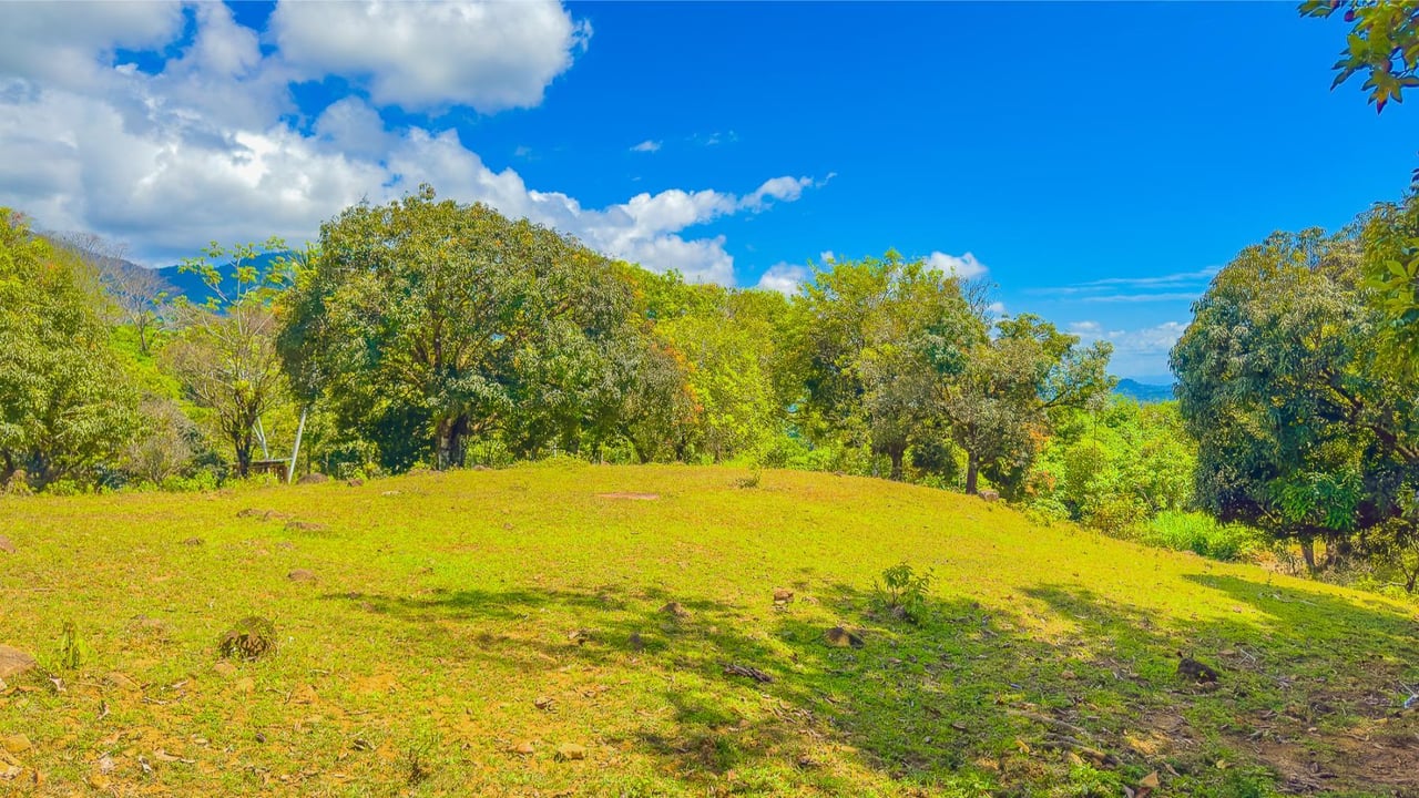 Forest View Building Lot, Ojochal, Puntarenas