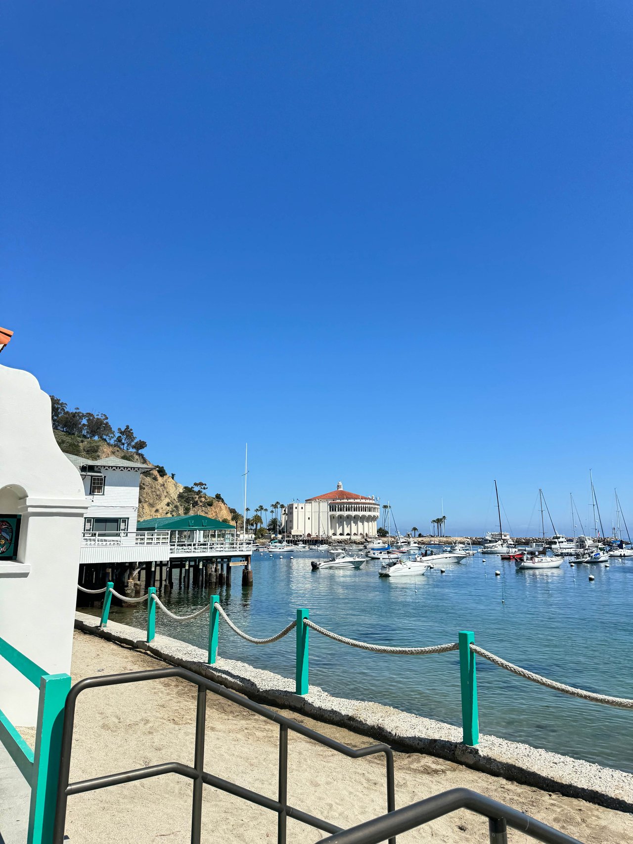 A Day Trip to Catalina Island