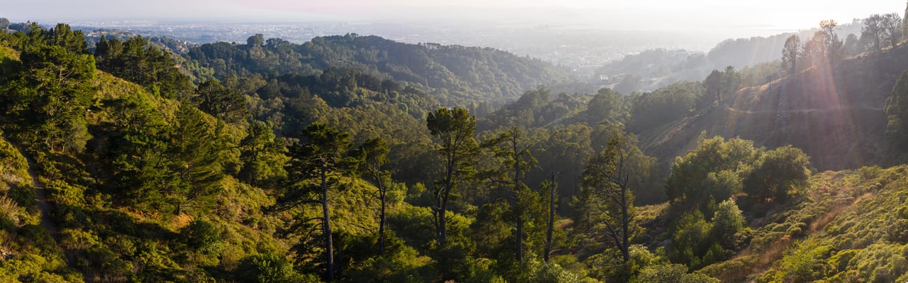 Orinda