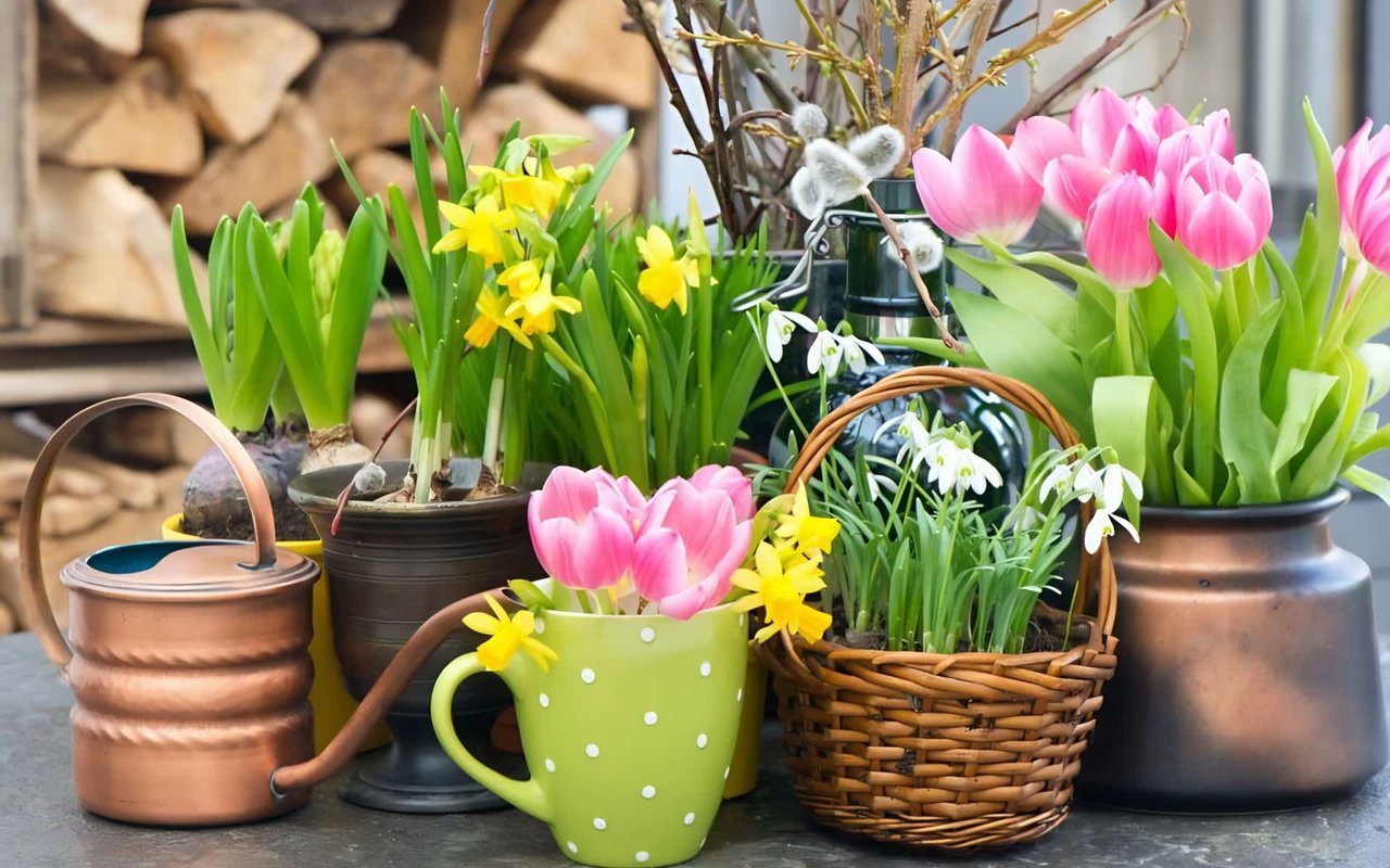 Home Maintenance Tips for Spring