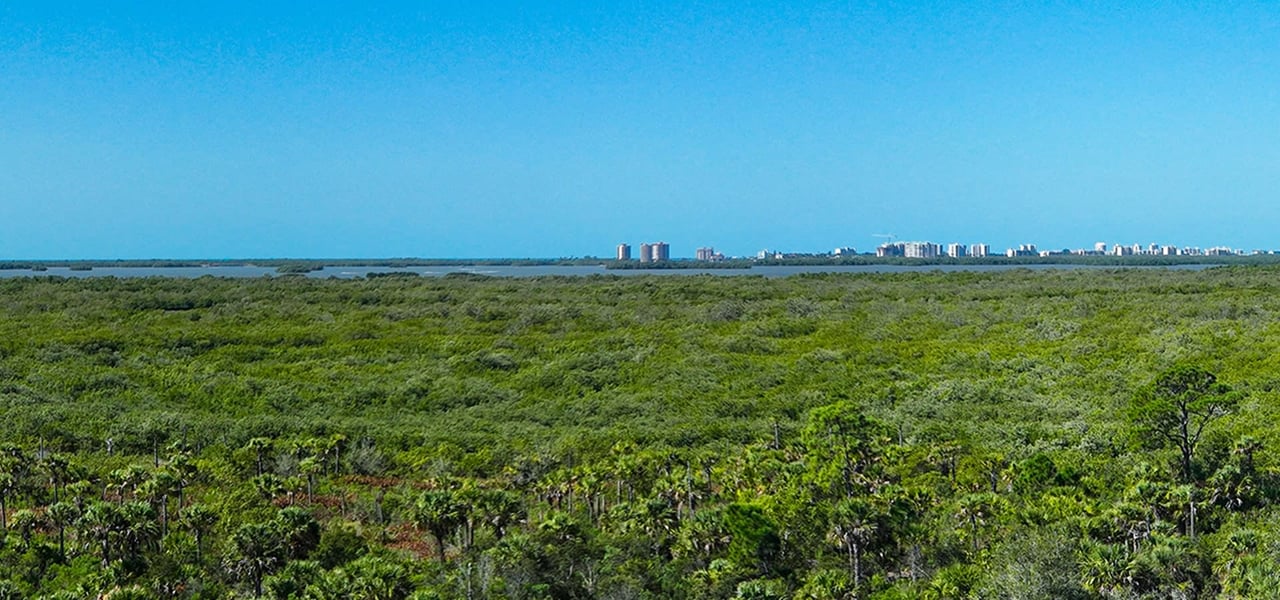 The Island at West Bay Residences