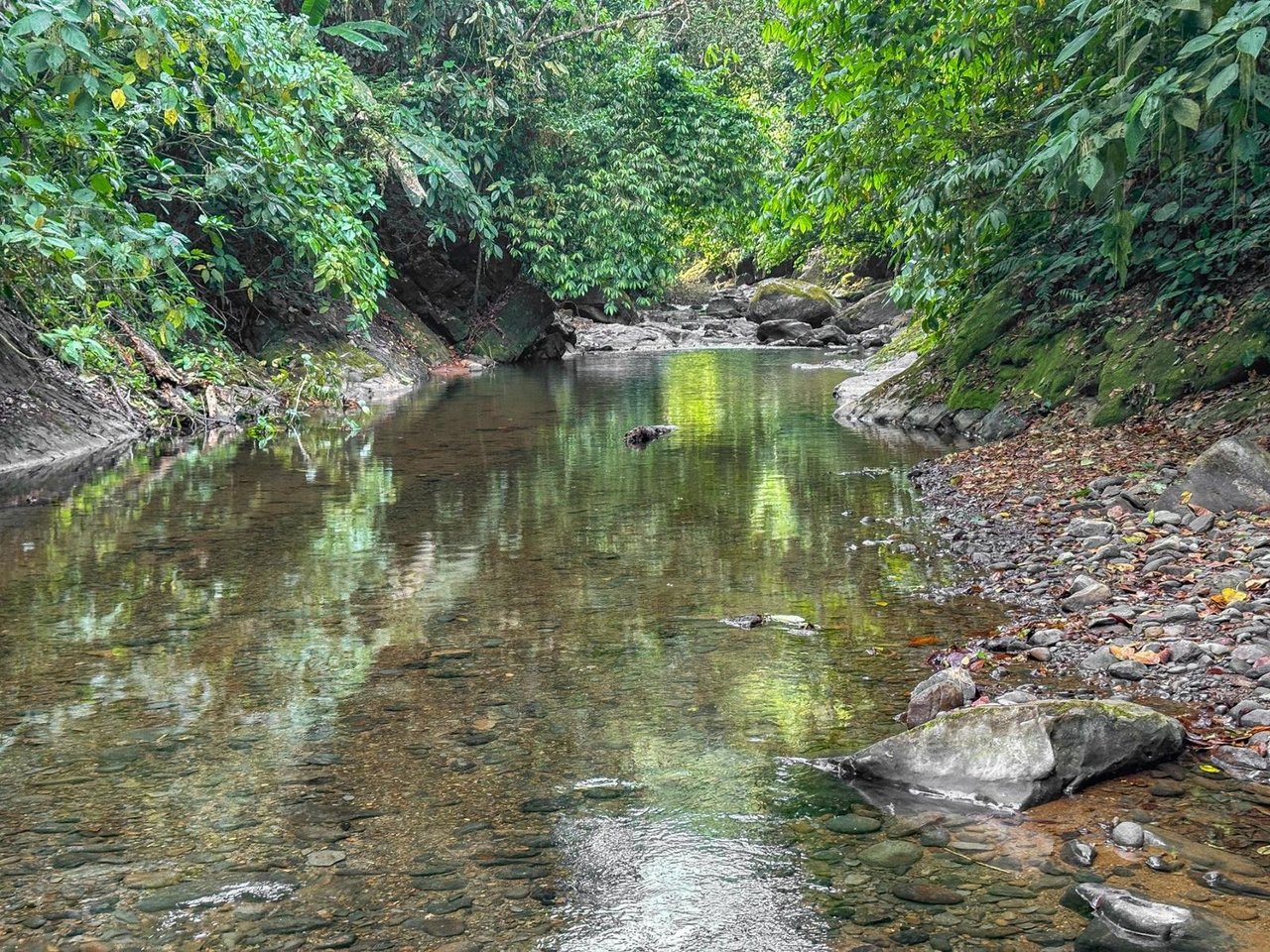 Waterfall Rainforest River Estate, Uvita, Puntarenas