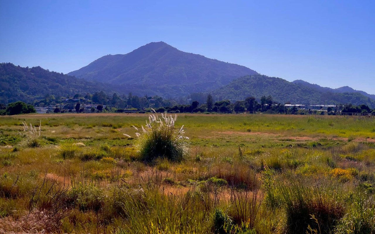 Corte Madera