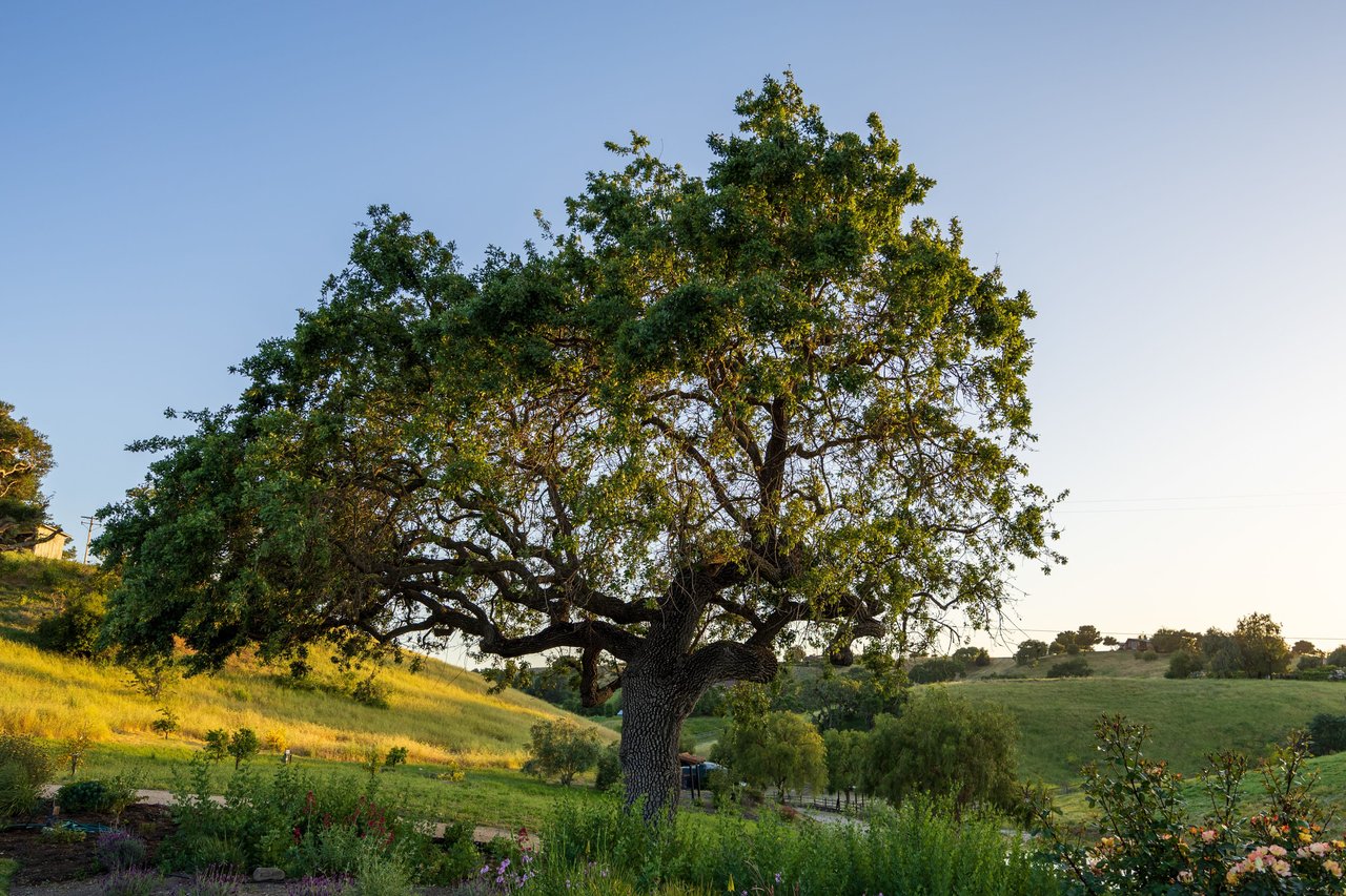 Hidden Hills Ranch