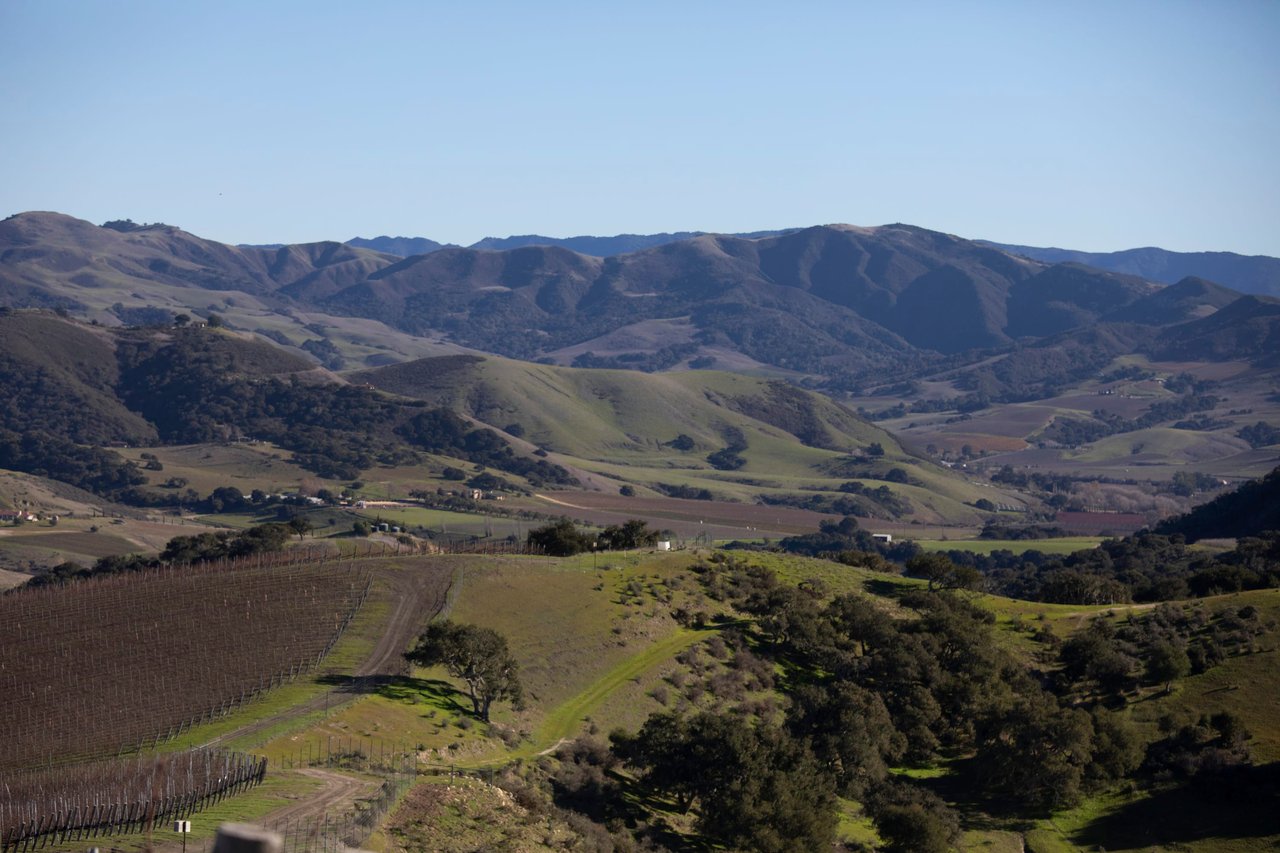 Santa Ynez